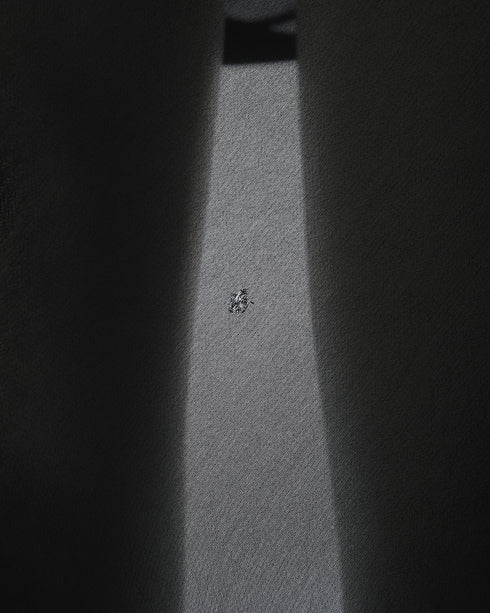 Sheer Long Black Dress